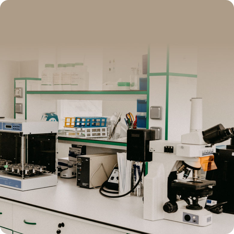 Chăm sóc sức khỏe